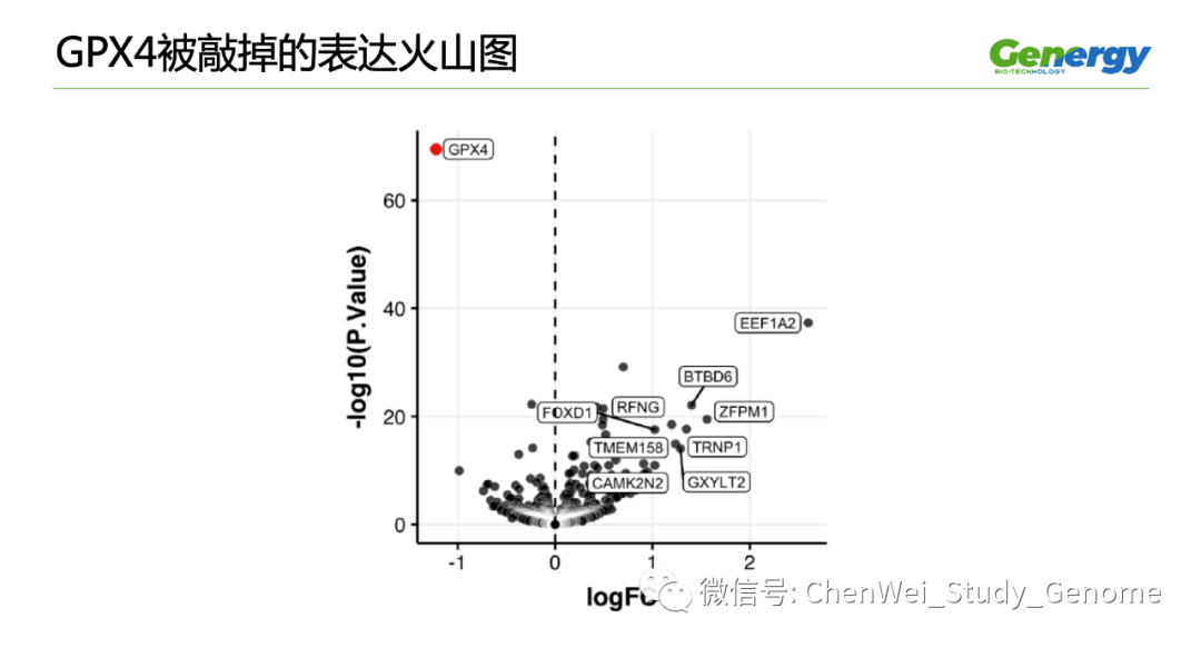 细胞疗理仪是什么原理_雾疗是什么