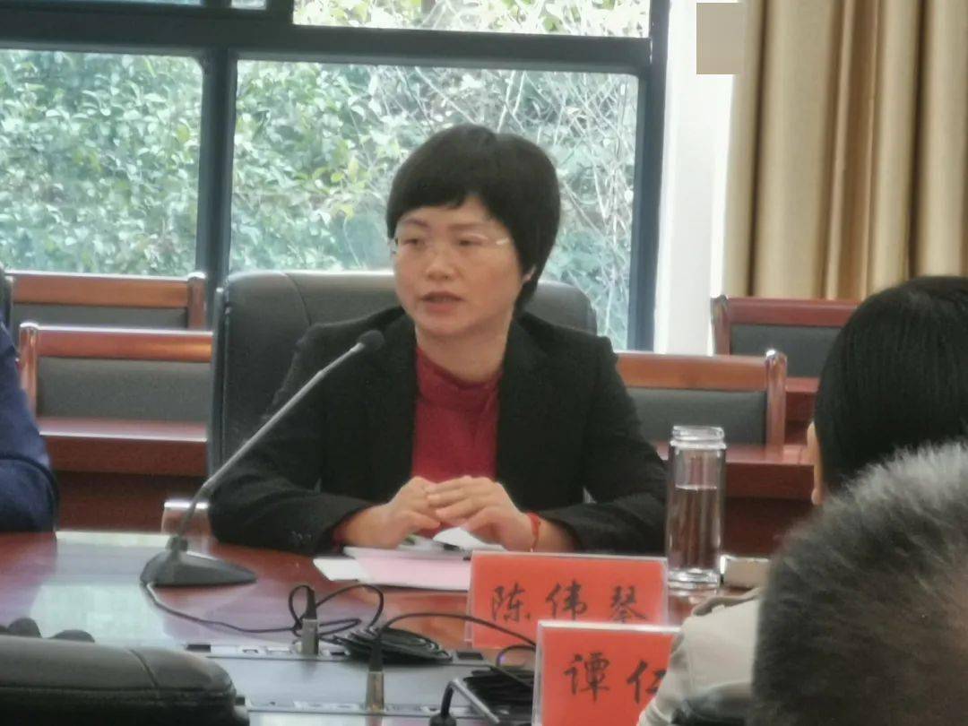 座谈会在县政府第七会议室召开,县人民政府副县长陈伟琴出席,县教育局