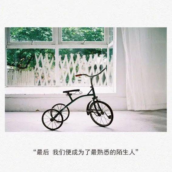 每个人在深爱一场后都遍体鳞伤 我也一样