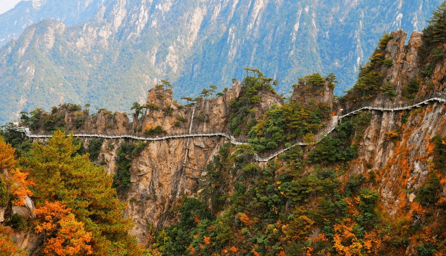 老干部赏秋养生休闲之旅第一站临安大明山