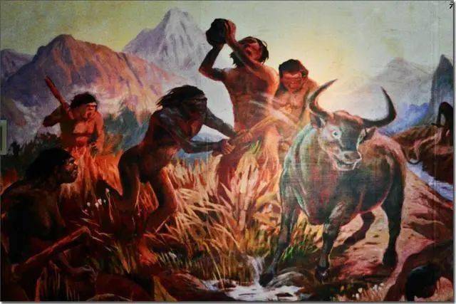 进化顺序被颠覆发现180万年前的人类在涮火锅