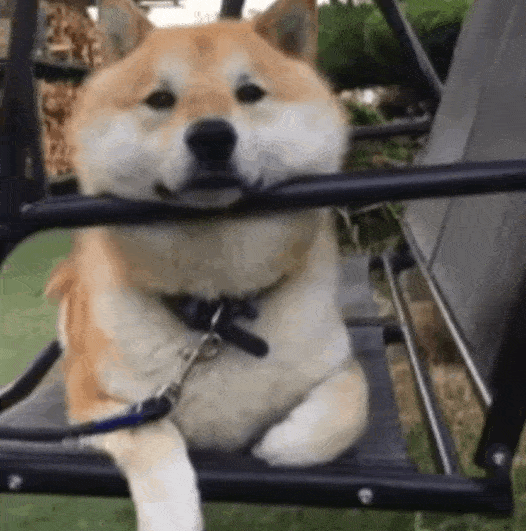 不知道是不是10月冲业绩, 最近台风一个接一个! 又有一个台风生成了!