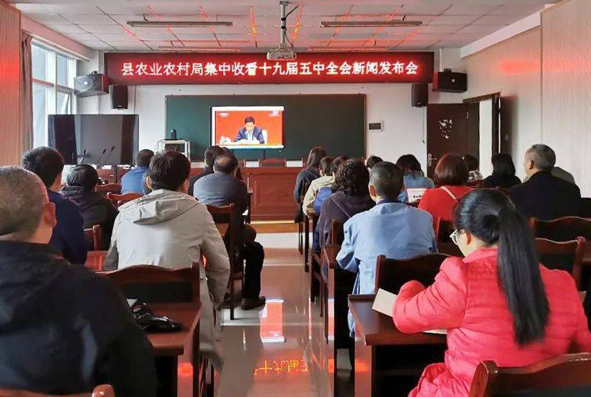 屏山县新闻最新消息 92528c7989344b339127cd4c16a75508.jpeg