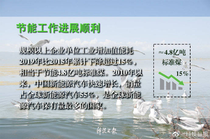 b81709d53dbd42bdbc55121ad16e9a72.jpeg