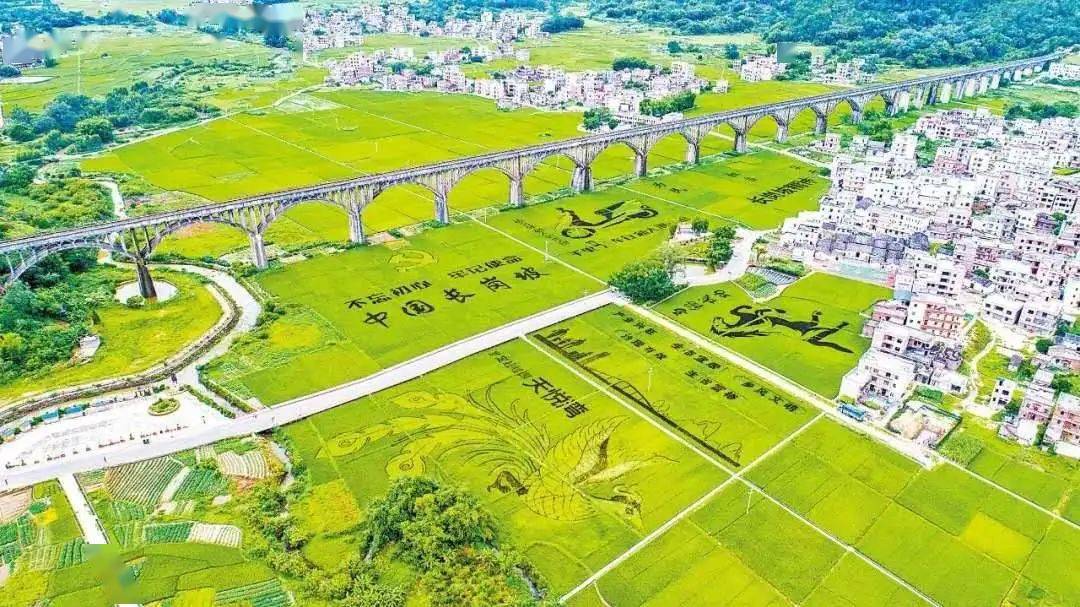 丰收季节的罗定长岗坡渡槽你见过吗?