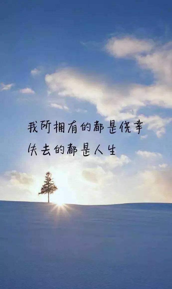 cdf30094d08743edb7fd3a3b21e8a94e.jpeg