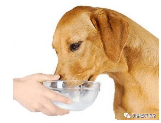 cee88b59418c48dc9f352d6fc9a93bdd.png
