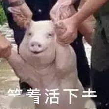 16400bc1c66d43a3986b35d78cb4651f.jpeg