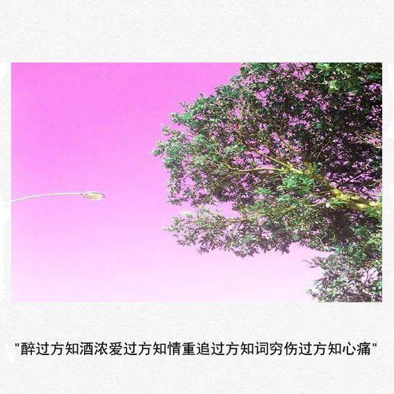 世间所有不尽人意之事 全靠硬扛
