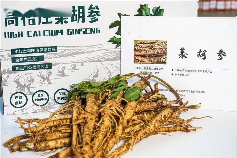 沙参什么人可以吃 671aa274510c4337bd6dd53bcd5ad99a.jpeg