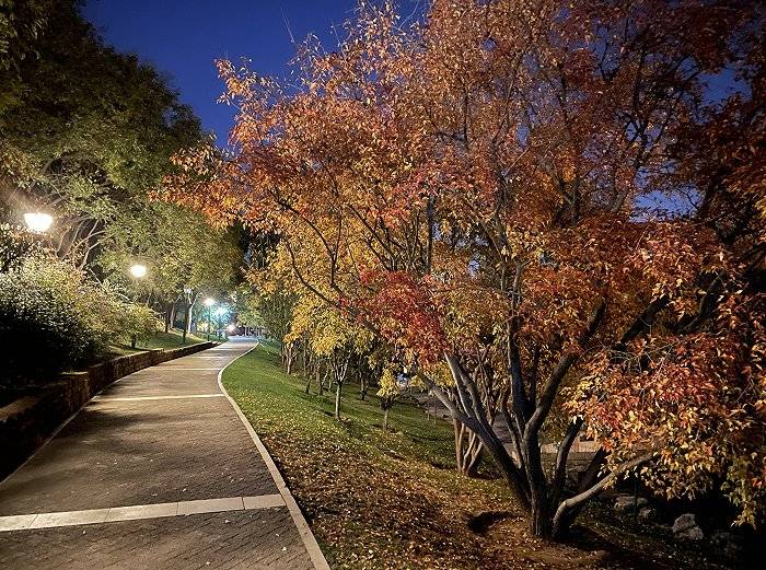 iPhone|新手机用了一周，从四个维度聊聊最新iPhone 12