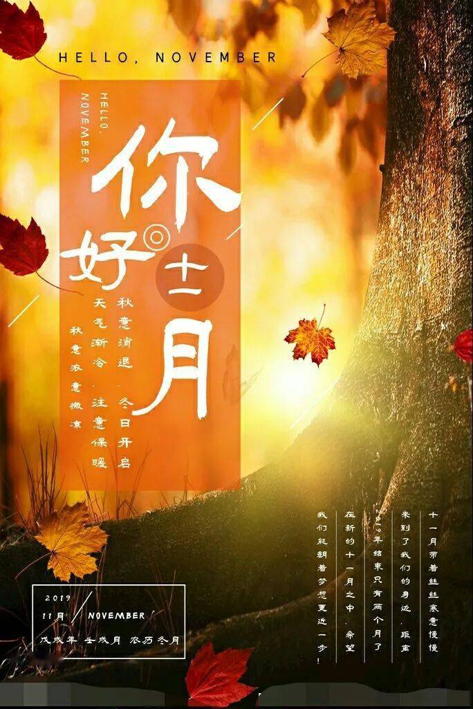 十一月你好:愿你万事皆美好,所得皆所愿.