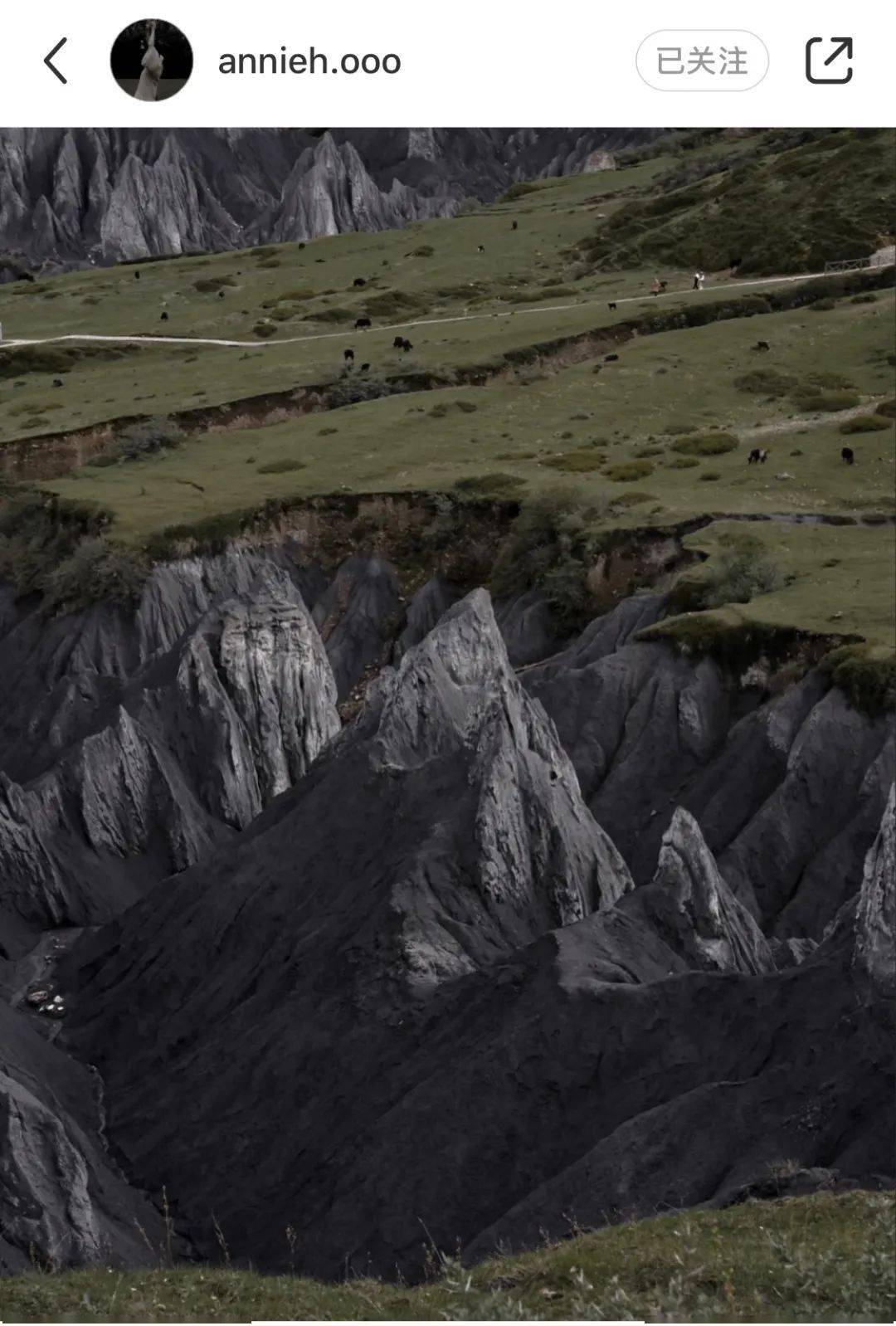 植物|熬夜新救星｜分享我最近的生活和近期在用的肌肤“吃素”法！