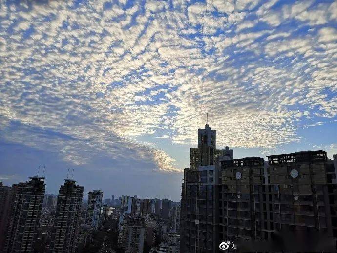 什么时候才会有冷空气 f79d18d9b85c467e80908961532fbd5c.jpeg