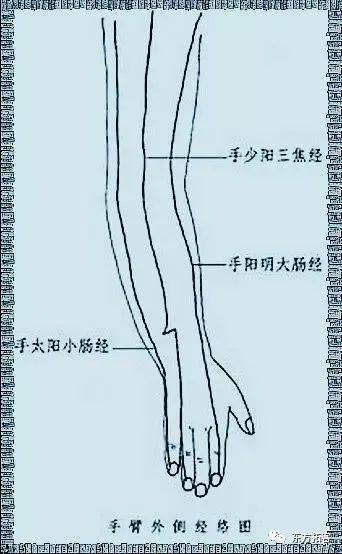 疏通经络的特殊功效