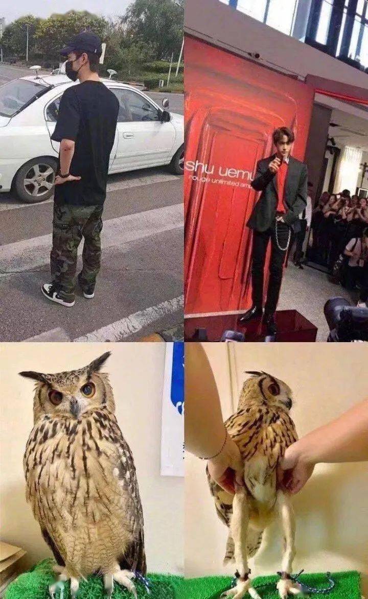 裤子|王一博，请烧掉你的“奇怪”裤子