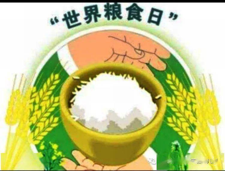 "爱惜粮食,从小做起 "—记中三班"爱粮节粮"主题教育