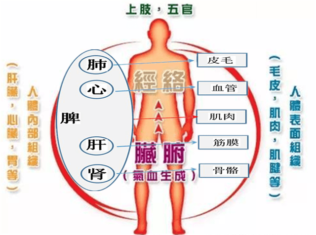 2d6350b5efa54b37b6da0236b2cd0cc0.png