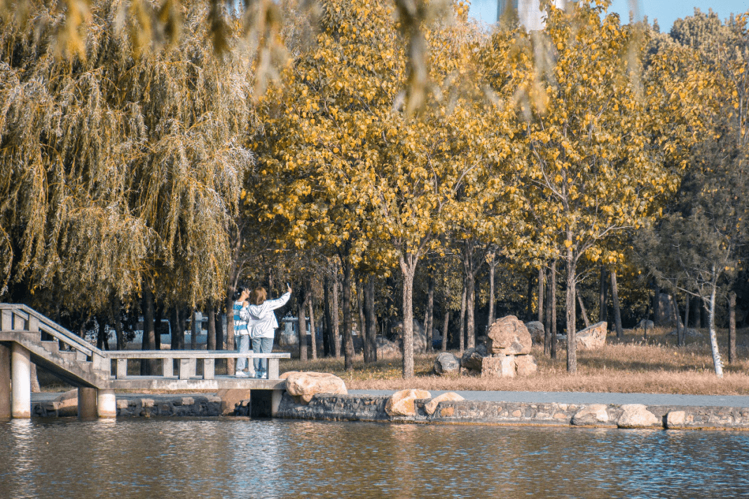 有声|正是晚秋,河科大风景依旧