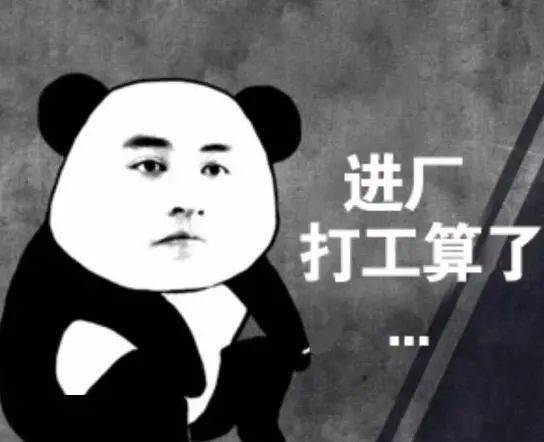 消息资讯|又是勤劳打工の一天