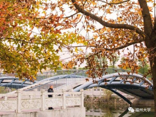 秋景大|高校秋景大赏丨想在春天种下一片色彩 在秋天送给你