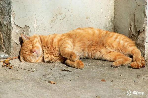 秋景大|高校秋景大赏丨想在春天种下一片色彩 在秋天送给你