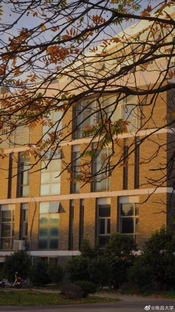 秋景大|高校秋景大赏丨想在春天种下一片色彩 在秋天送给你