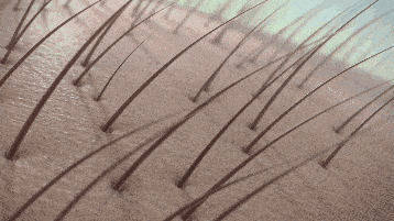 ta|十斤黑芝麻都比上2颗ta！风靡美国的这颗糖把头发越吃越密，皮肤也变好了，感觉年轻10多岁！