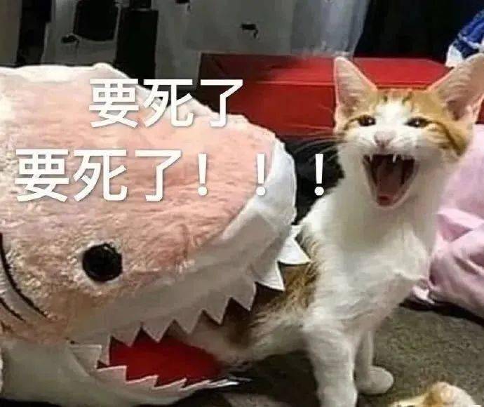 聊天日常表情包:人家不要奶茶 ,要啵啵