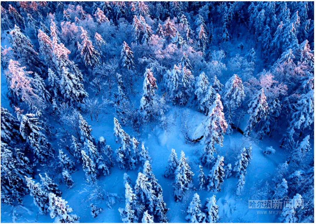冰天雪地曲谱_冰天雪地图片(3)