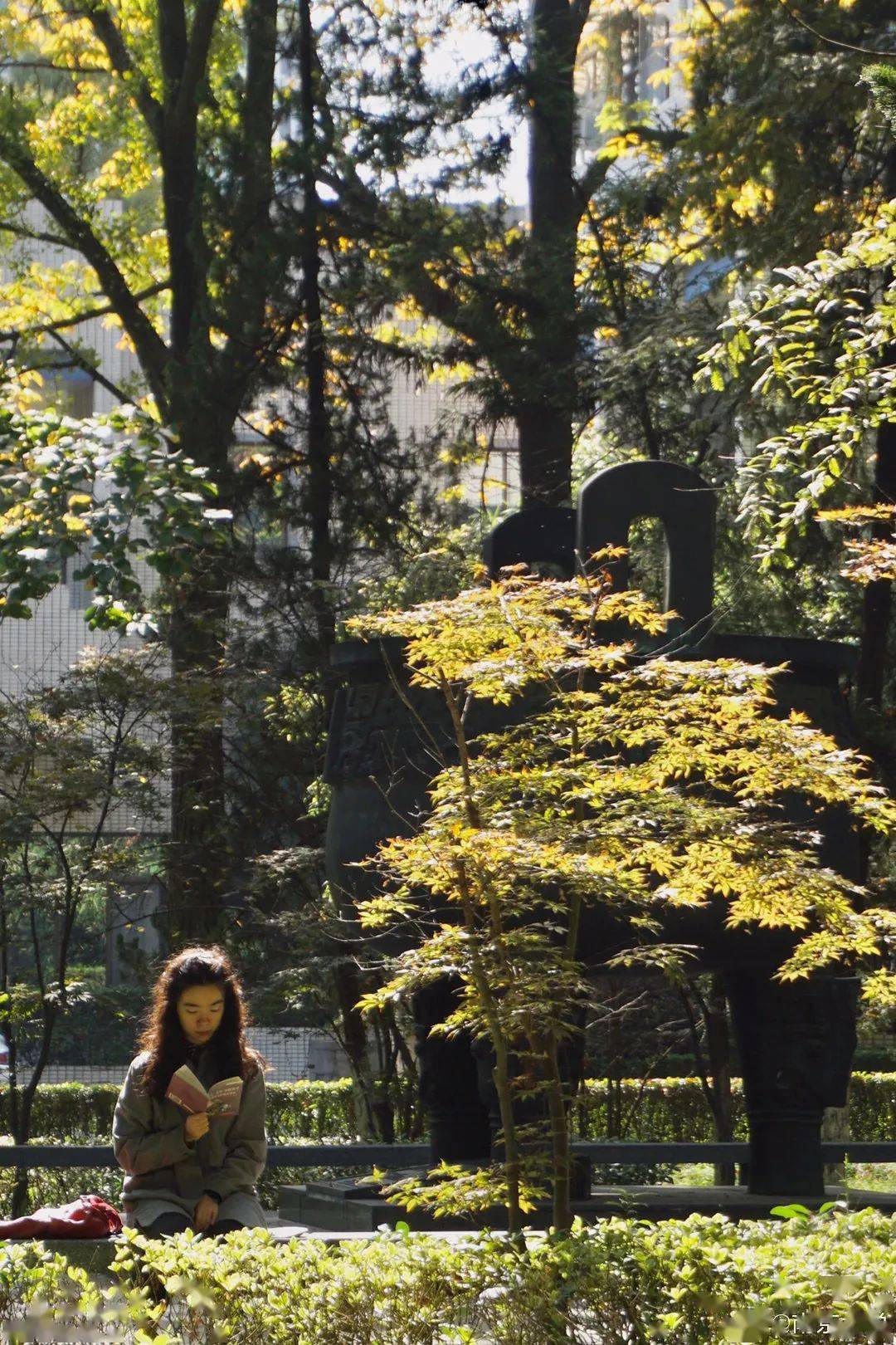 官宣|高校“官宣”秋景来了，有你的校园记忆吗？