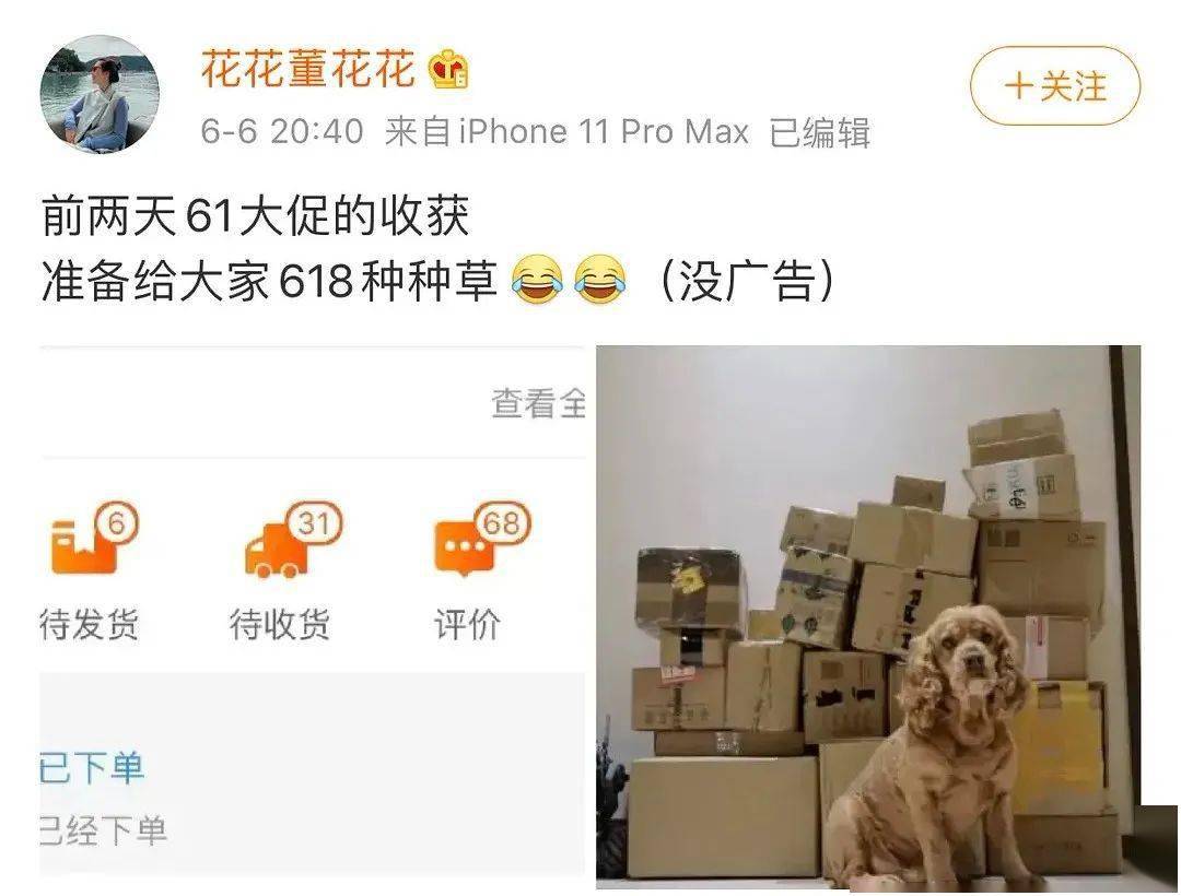 花花|董花花宣战196天后才彻底清醒…