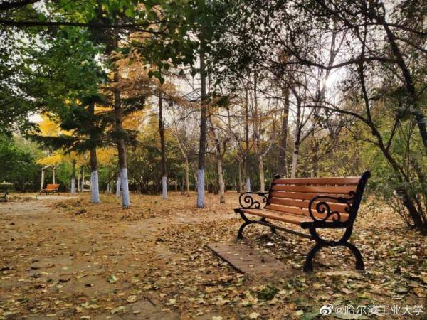 秋景大|高校秋景大赏丨想在春天种下一片色彩 在秋天送给你