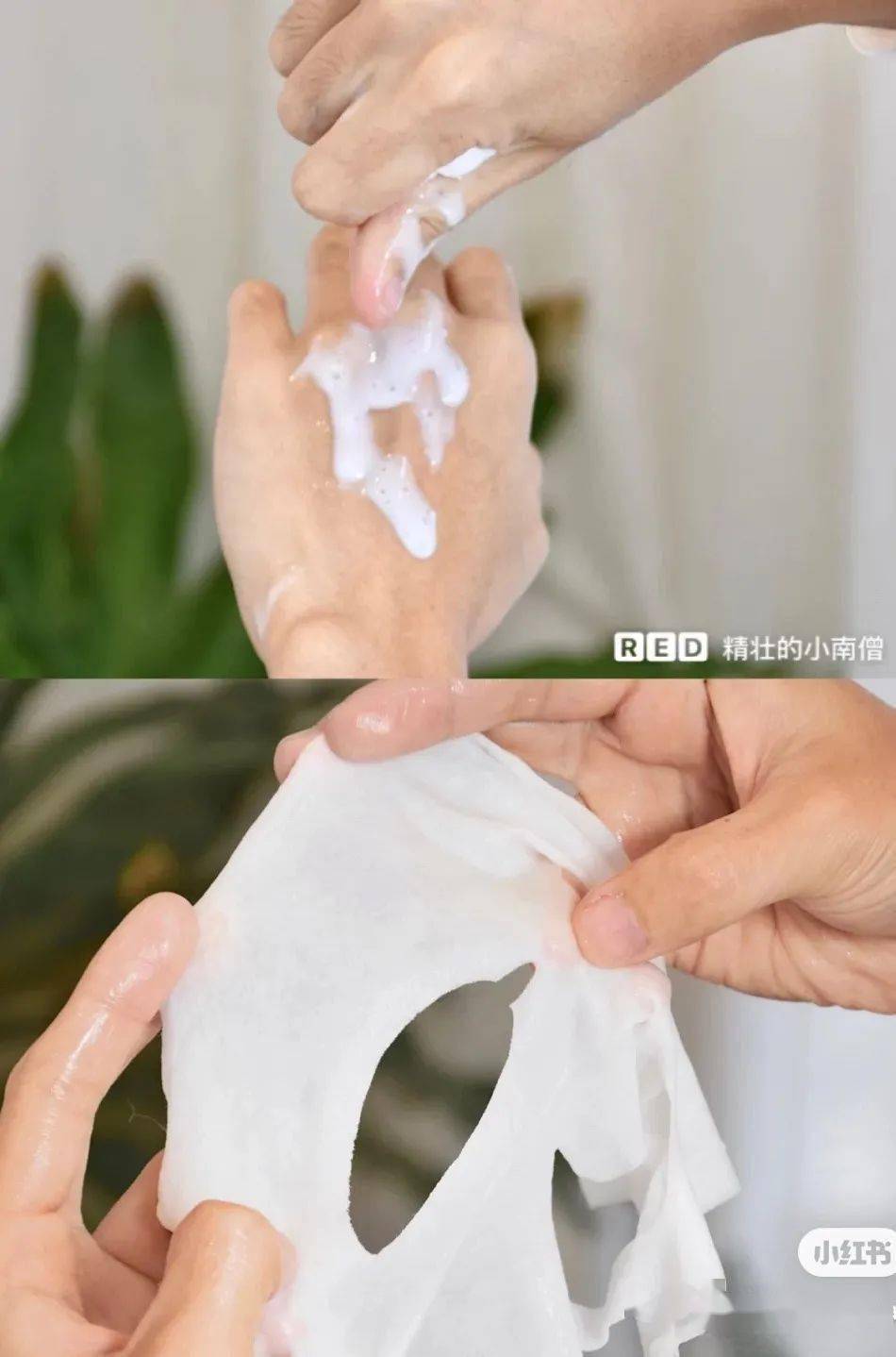 仙人掌|灵芝护肤？仙人掌敷脸？大牌们真是越来越敢了！