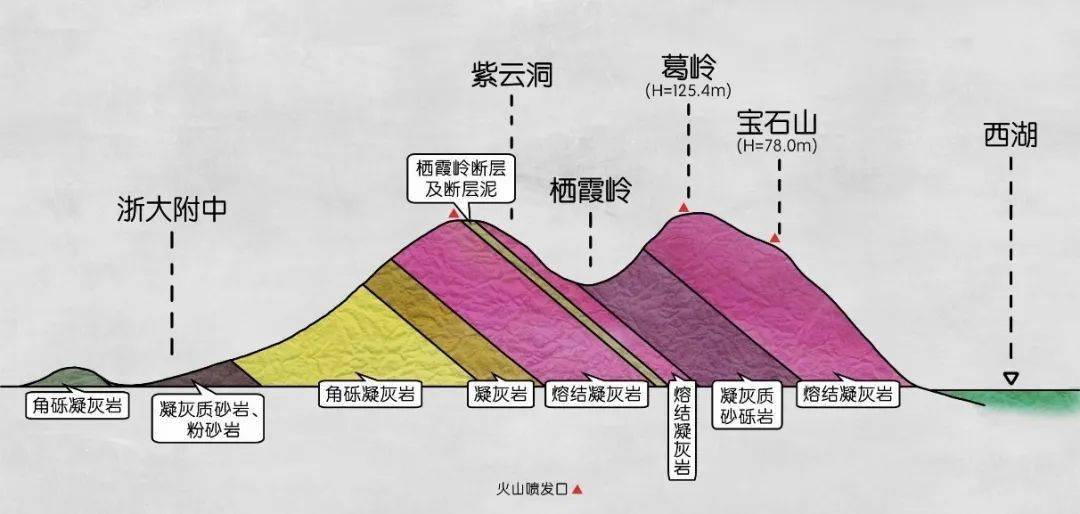 用脚丈量宝石山,探索西湖地质变迁,来一场属于小探险家的户外科考之旅