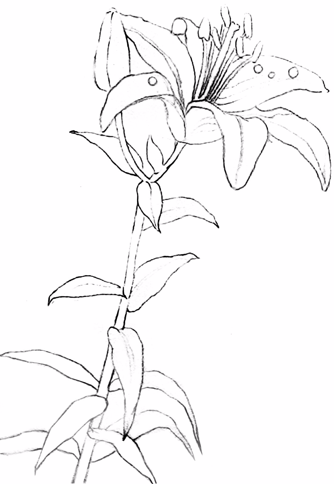 e5e200d68f304ace9e6d99076fbb6f32.png
