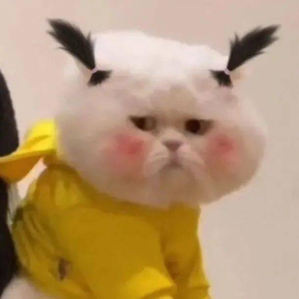 2f0a4dc33c6a4033b07ca01306ad2c15.jpeg