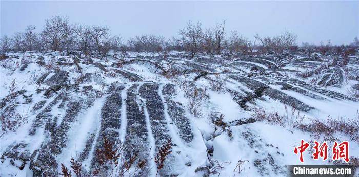 五大连池迎今冬首雪 如水墨仙境