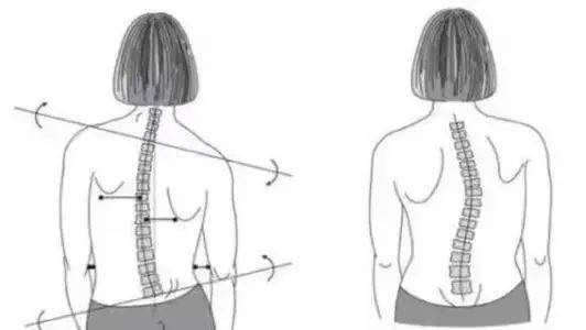 锻炼|赵丽颖再上热搜，锻炼生图线条感十足！更抓眼球的，是女神绝美的体态！