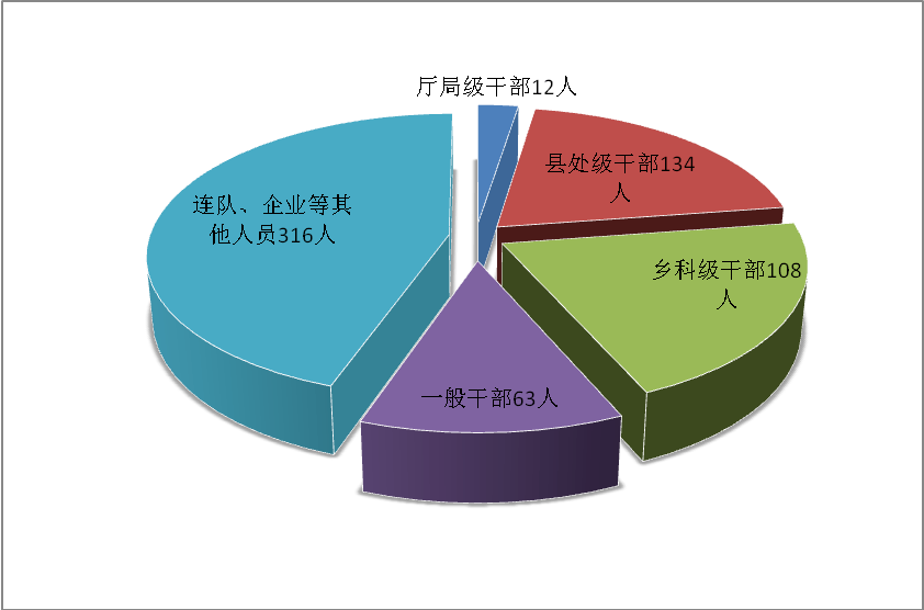 2020年兵团总人口_2020-2021跨年图片(2)