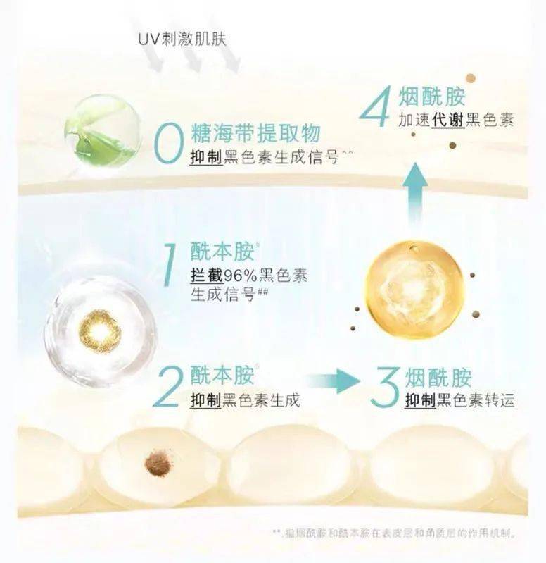 修护|双十一省钱攻略，打工人终于实现购物自由了！