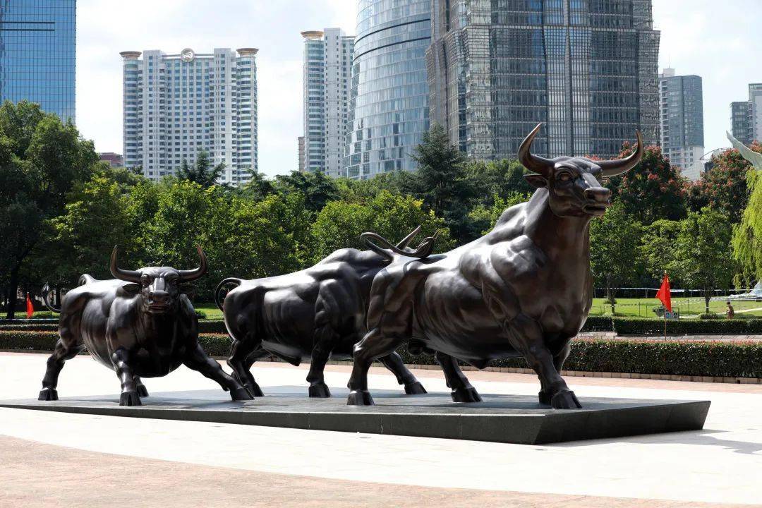 浦东2020年gdp_上海浦东机场图片