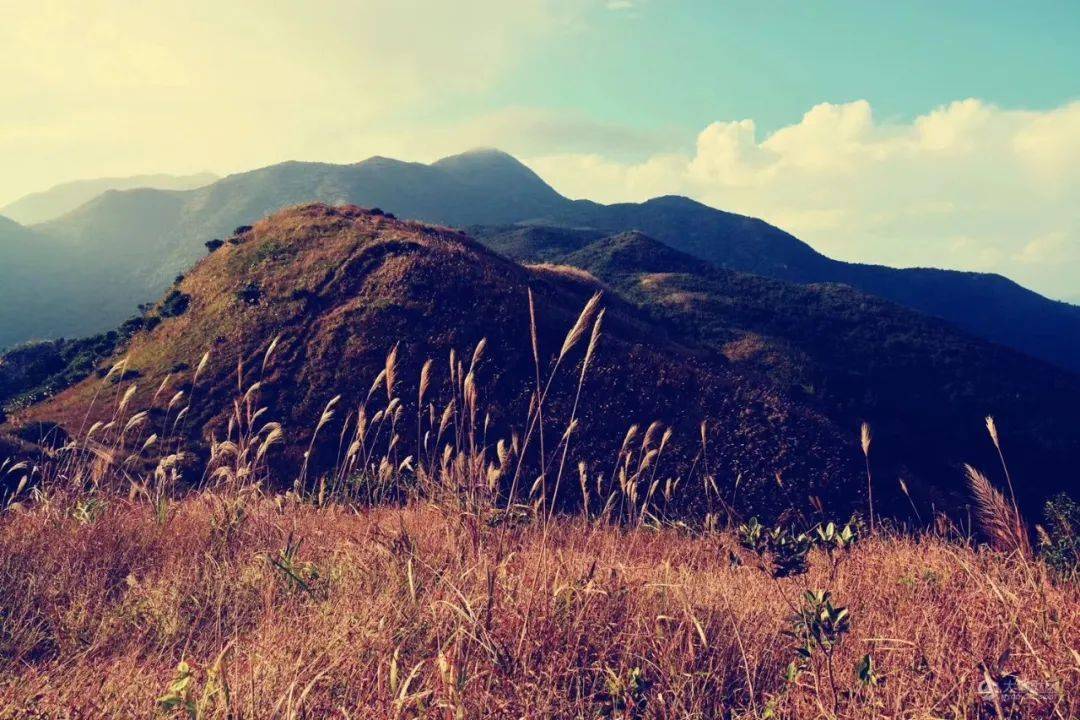 (每周六,日)广东四大名山之惠州罗浮山,飞云顶主峰穿越,徒步壮美竹林