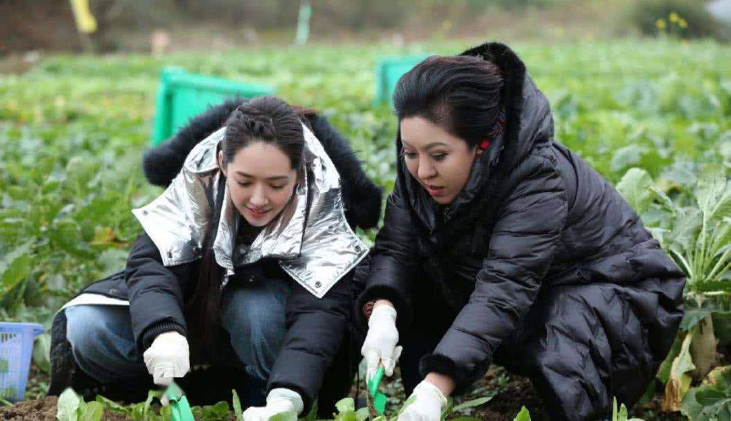 向佐|郭碧婷产后首露面，仅一个月火速恢复曼妙身材，女人味十足