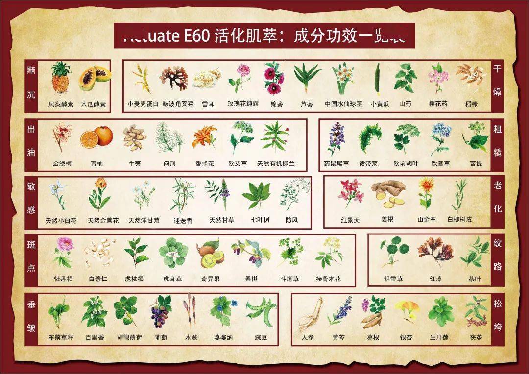 同学|53岁的TA竟然长这样？！深扒“把同学熬成爹”的冻龄秘诀！