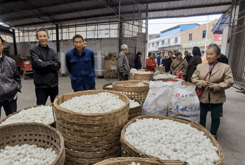 哇小小的它织出了幸福路