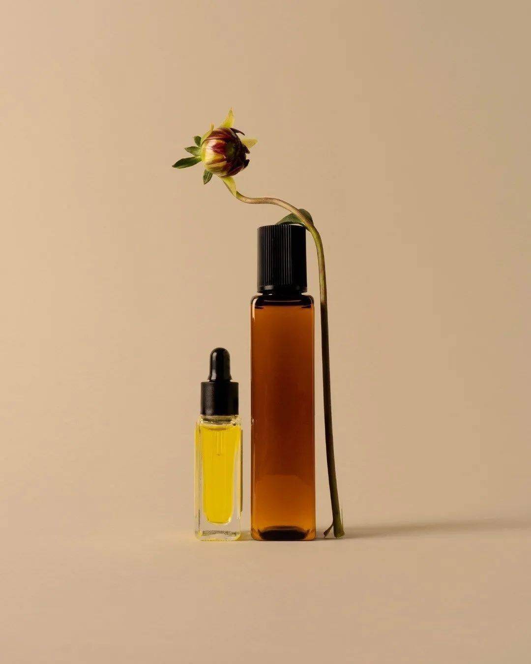 产品|把海洋装进瓶子里？每款产品都有一首诗？你应该知道的五款小众美容品牌