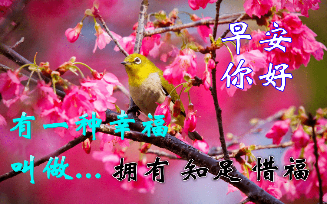 1fd132ac09954671ac416a5f2eecda29.png