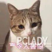 Venus|别只照顾脸，小心身体肌肤让你看起来老十岁！