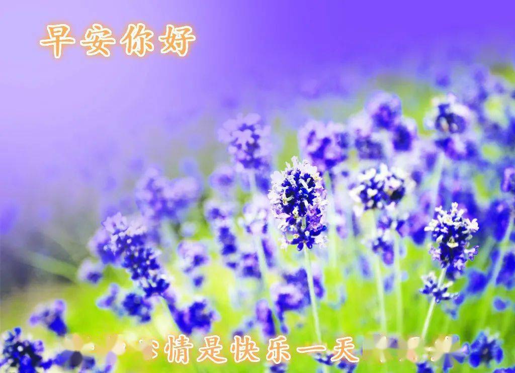 祝福你一切都好.早安!